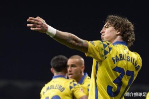 法比奥·席尔瓦：转会市场新宠，德甲双雄展开激烈追逐