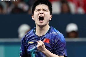 德甲经理:我们原本没打算大肆宣扬樊振东加盟 但消息曝光后反响剧烈