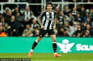 托纳利决心留守纽卡斯尔，回报俱乐部支持