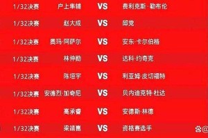 樊振东欧冠嘉宾亮相，莎莎凌晨激战，波尔退役派对